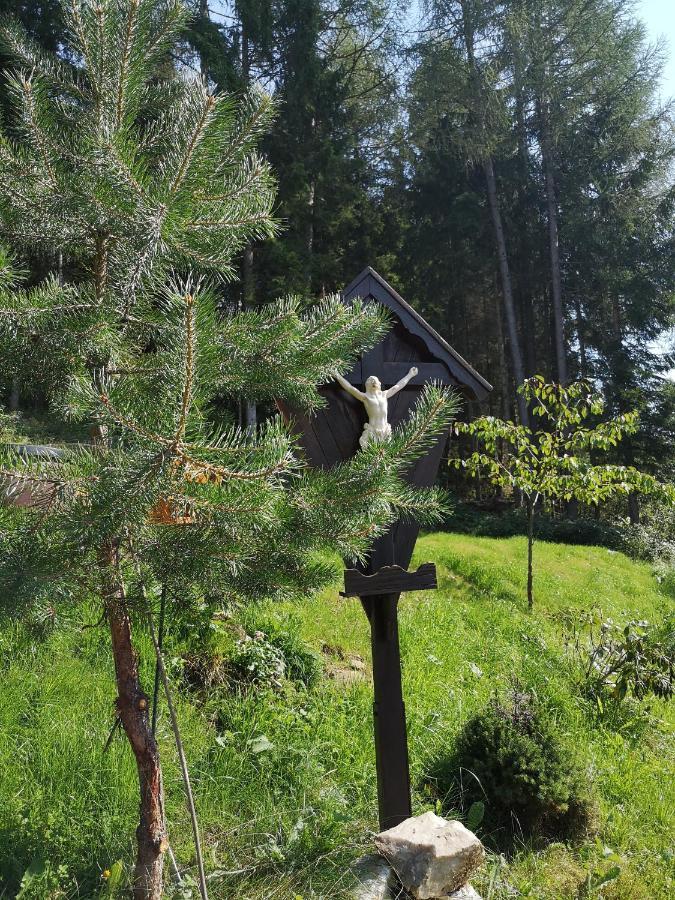 Almhaus Oedlstein Villa Sankt Stefan im Lavanttal Eksteriør bilde
